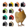 Best Chicken Helmet