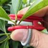 Green Thumb Clippers