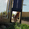 Automatic Chicken Coop Door