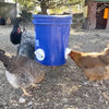 Chicken Feeder Kit