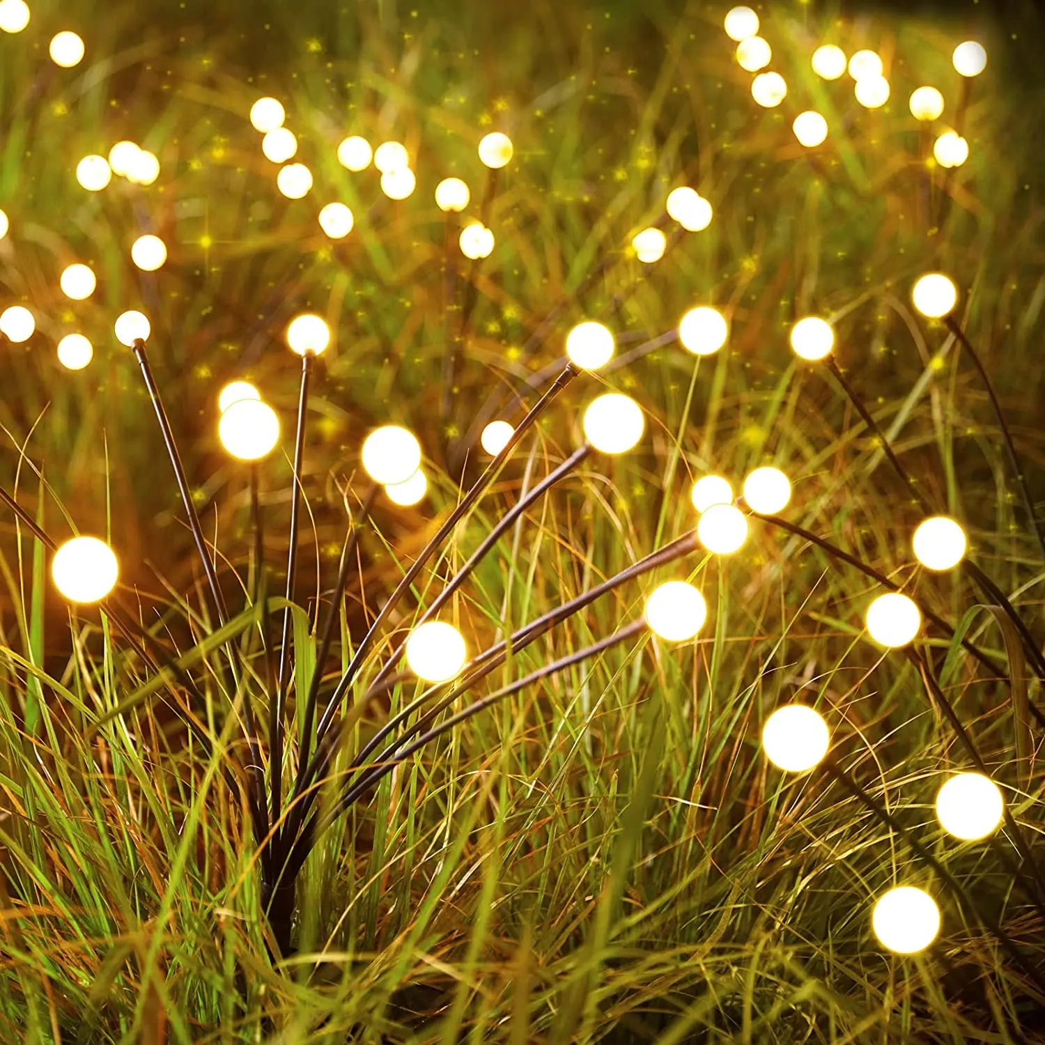 Firefly Solar Lights