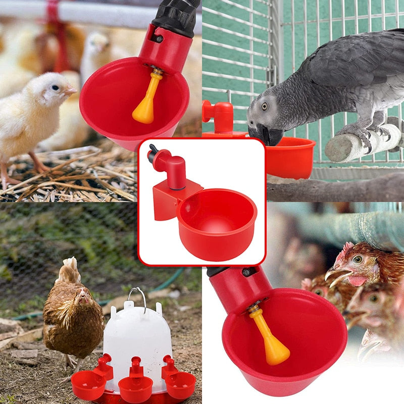 Chicken Drinking Cup