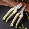 Best Garden Pruners