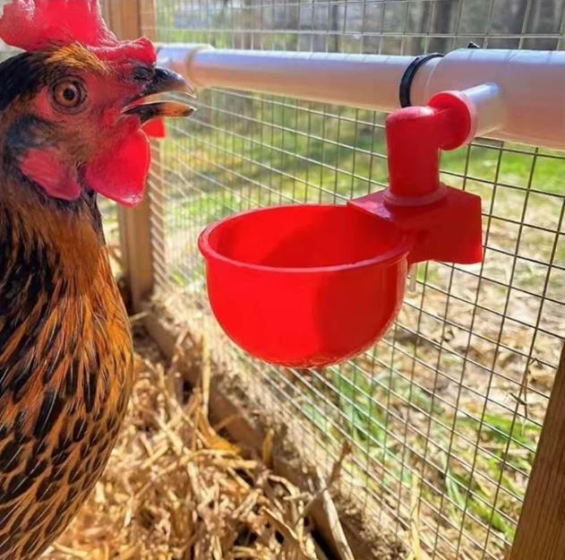 Chicken Drinking Cup