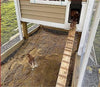 Automatic Chicken Coop Door