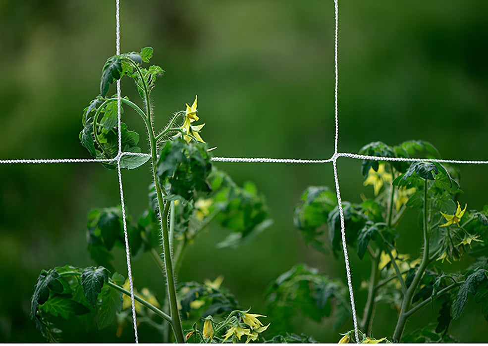 Garden Trellis Panels